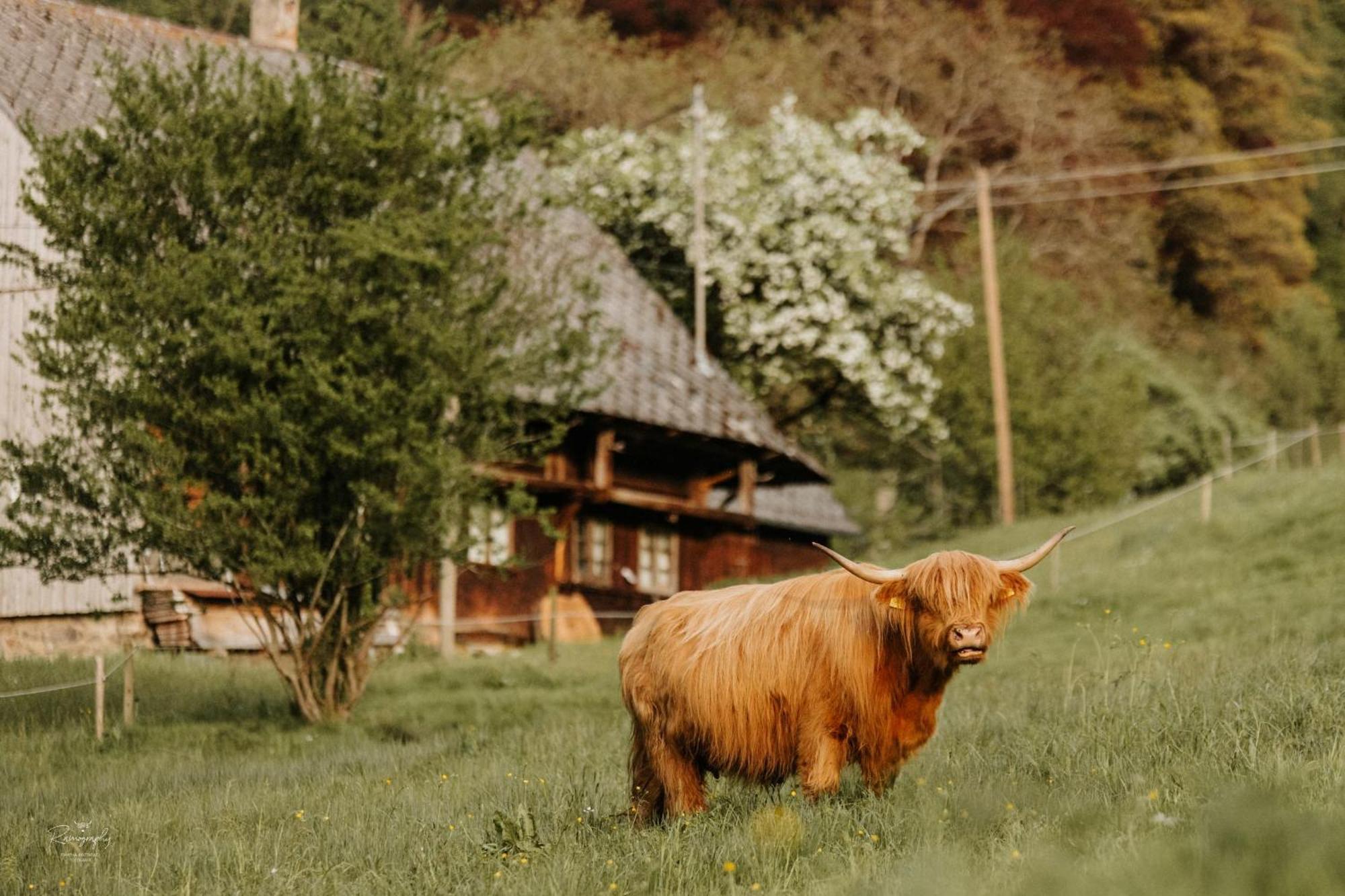 Am Mehlberg